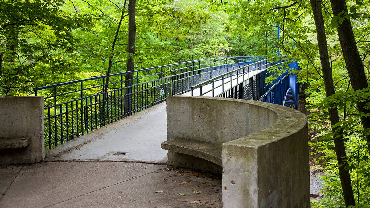 A view of the Little Mac Bridge on the Allendale Campus.